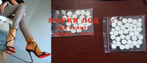 прущие грибы Абдулино