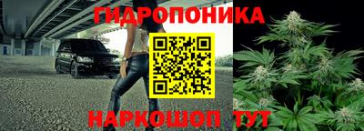 ECSTASY Краснокаменск