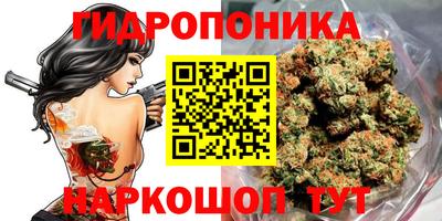 индика Краснодар