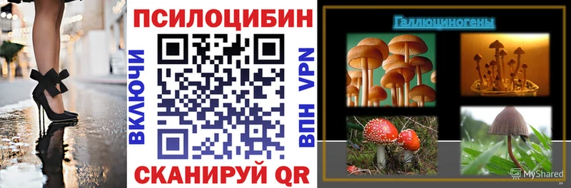 Галлюциногенные грибы Psilocybine cubensis  mega ссылки  Торжок 