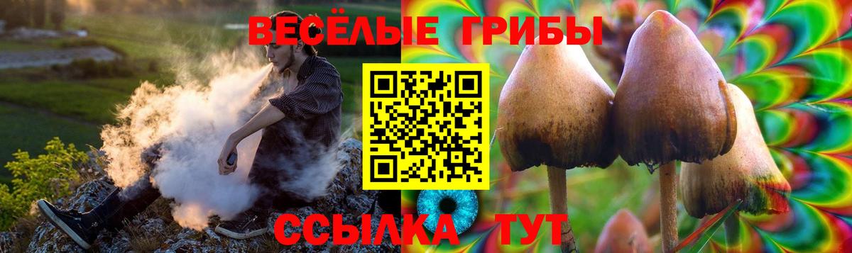 Галлюциногенные грибы GOLDEN TEACHER Торжок